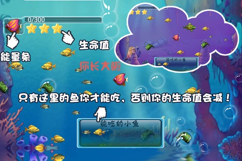 小鱼成长日记 - 好玩的全民大鱼吃小鱼游戏 screenshot 3