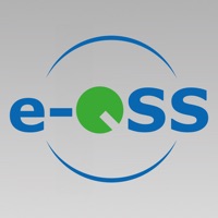 e-QSS ML