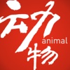 Chinese Animal