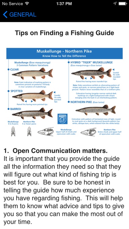 Easy Beginner's Fishing School - Best Basic Video Guide & Tips For Learn Catching Fresh Water Fish To Sea