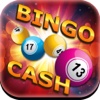 A Bingo Cash Craze