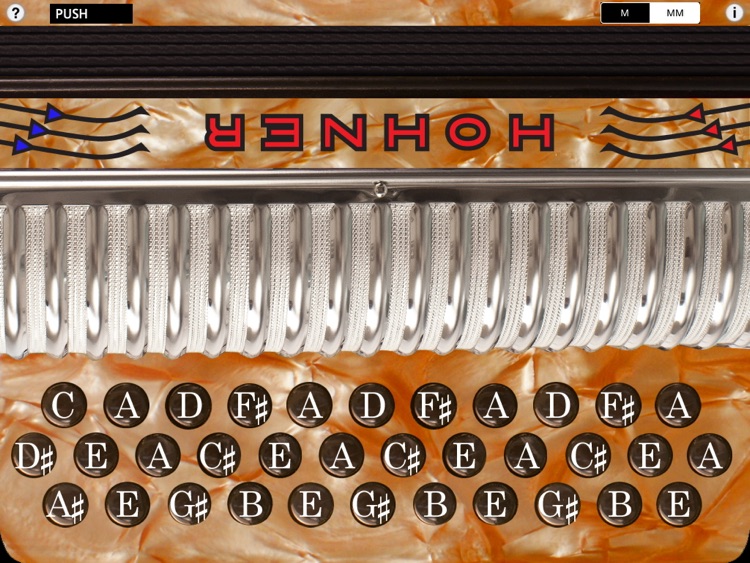 Hohner-EAD Xtreme SqueezeBox