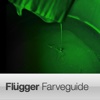 Flügger Färgguide