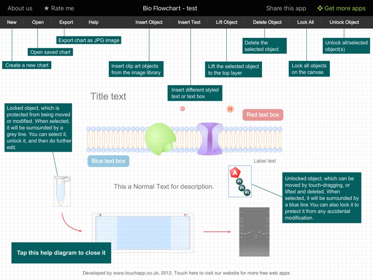 Bio Flowchart