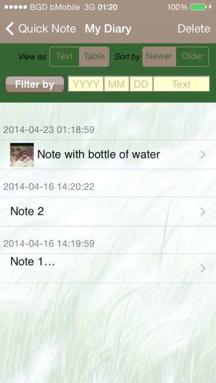 Quick Diary
