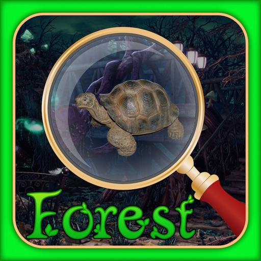 Mysterious Forest - Hidden Objects Fun icon