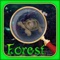 Mysterious Forest - Hidden Objects Fun