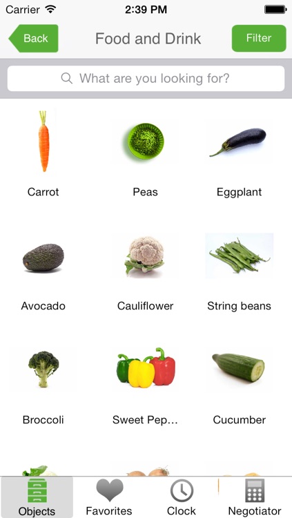English Picture Dictionary