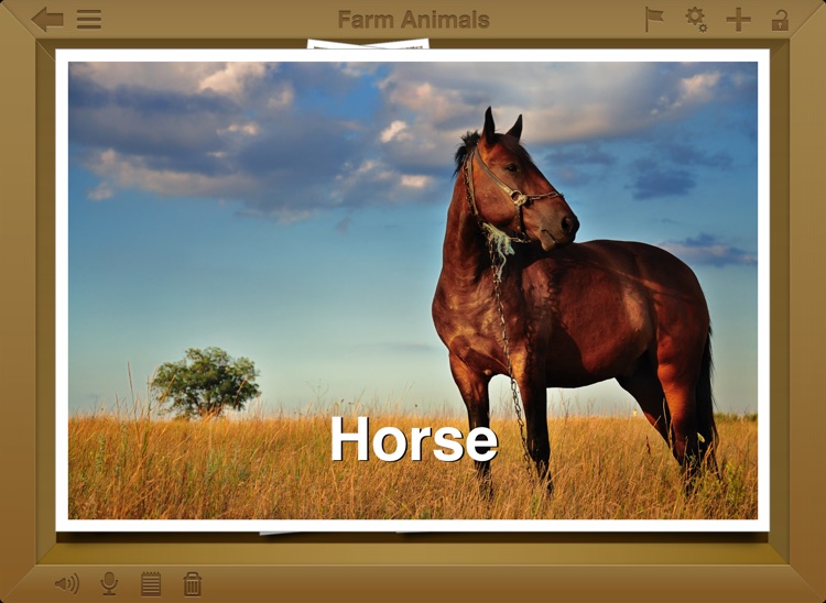 SpeechBox for Articulation Speech Therapy - iPad Edition
