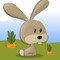 Little Bunny - Hide and Seek HD