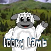 Looky Lamb