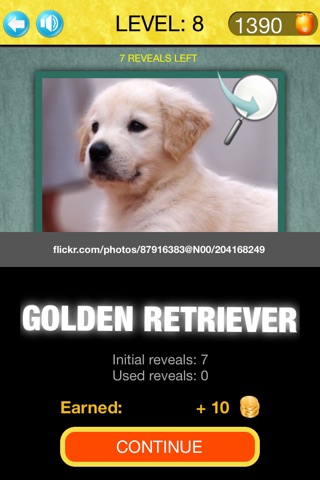 Guess The Puppy Pic screenshot 4