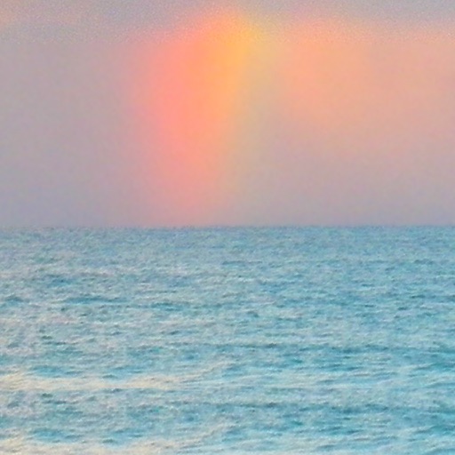 Guided Meditations