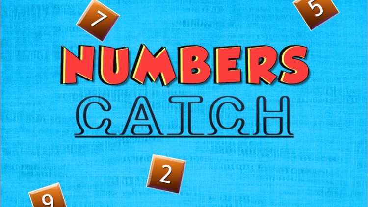 Numbers Catch