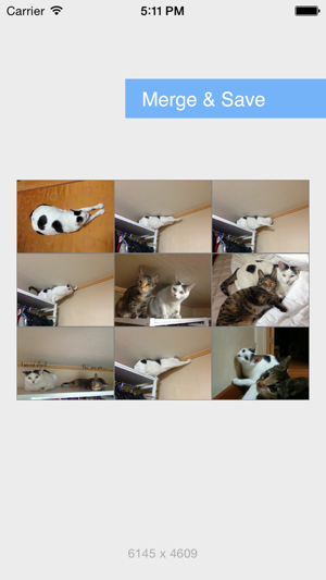 PutPic - Easy Photo Merge(圖4)-速報App