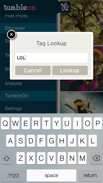 TumbleOn - Photo viewer for Tumblr images. screenshot-3