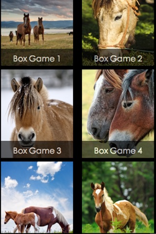 Little Pony Puzzle HD screenshot 4