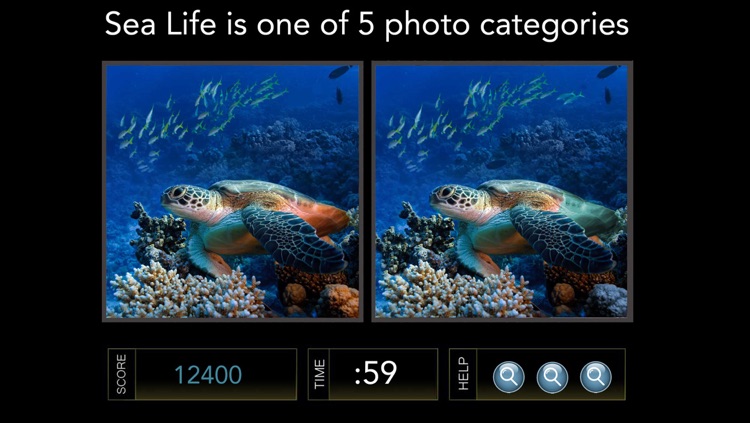 Spot the Difference Image Hunt Game - Gold Edition