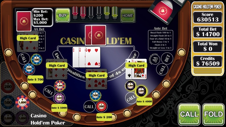 Casino Hold´em Poker