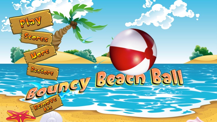 Bouncy Beach Ball – Inflated Ball Outdoor Avoidance