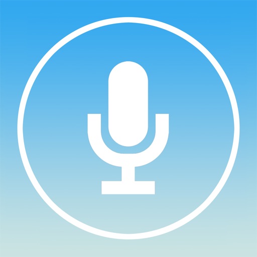 Voice Translator Pro