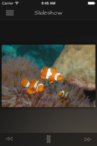 Coral Reefs Wiki + screenshot 3