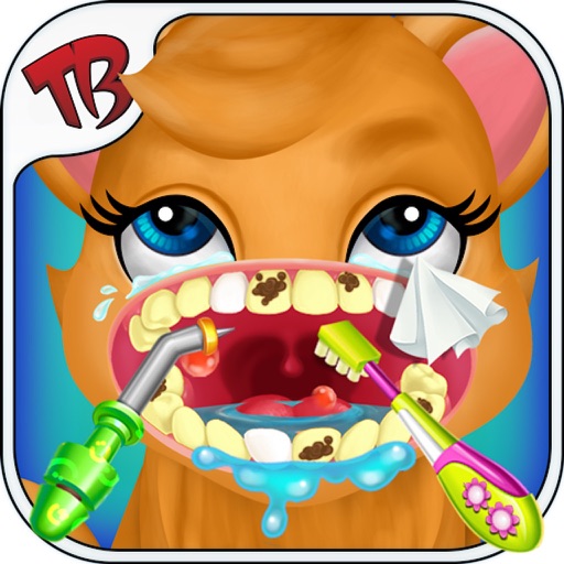 Little Kitty Dental Clinic - pet animal dentist office with braces Icon