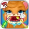 Little Kitty Dental Clinic - pet animal dentist office with braces