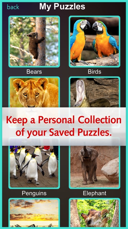 Zoo Jigsaw Animal Pro - Activity Learn And Play