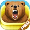 VPN-Cover - Identity Protection Tunnel-bear Edition