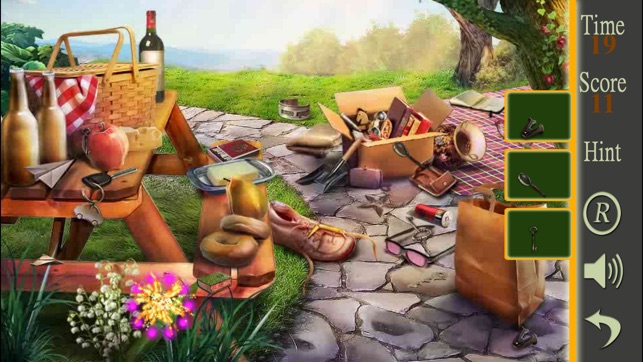 Hidden Objects A Picnic Weekend(圖4)-速報App