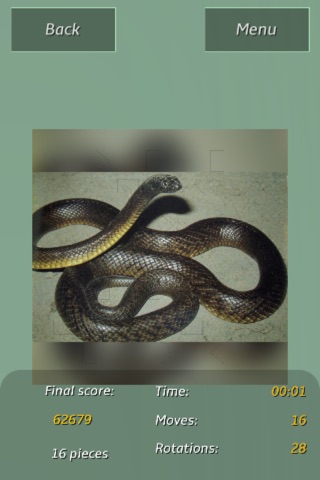 Snakes Amazing Puzzle screenshot 4