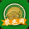 中国农业网