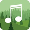 Forest Sounds:Relaxing nature using sleep pillow & sweet melodies with white noise machine generator