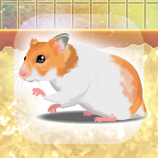 Hamster Game Free Apps 148Apps