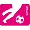 World Cup United 2016 is the football tournament for Deutsche Telekom colleagues