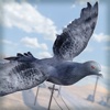 Bird Survival | Wing Sky Fly Tiny Simulator Game For Pros