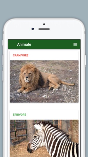 Sibiu Zoo(圖2)-速報App