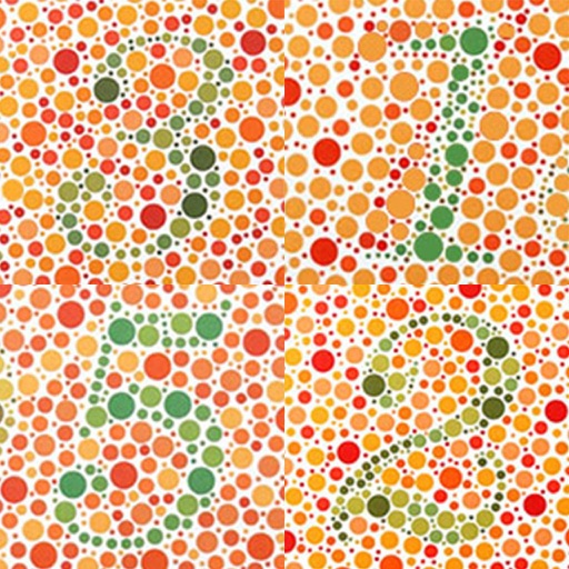Puzzle Number - Color Blind Number