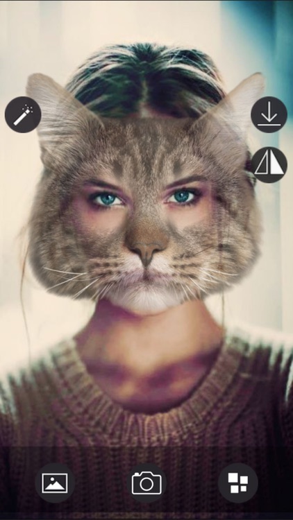 Animal Face - Selfie Editor & Stickers for Pictures