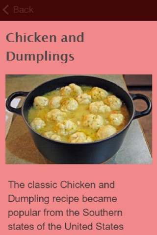 Dumpling Recipes screenshot 2