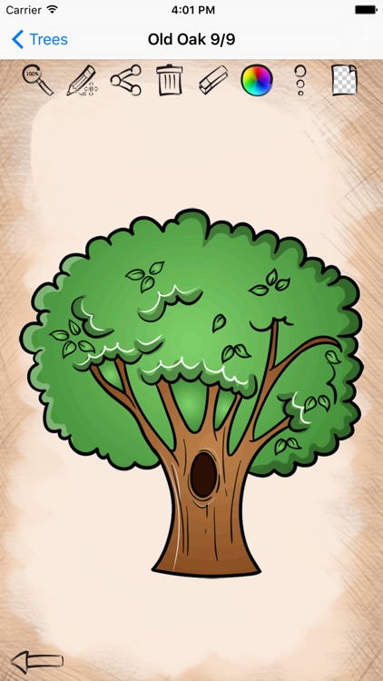 Easy Draw Trees And Leaves screenshot-4