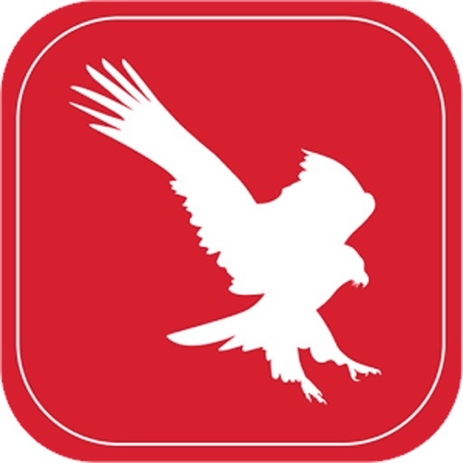 Birding In Southern Africa