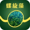 中国螺旋藻手机平台