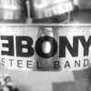 Ebony Steelpan Pro