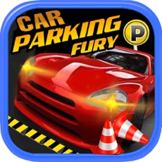 Activities of Car Parking Fury