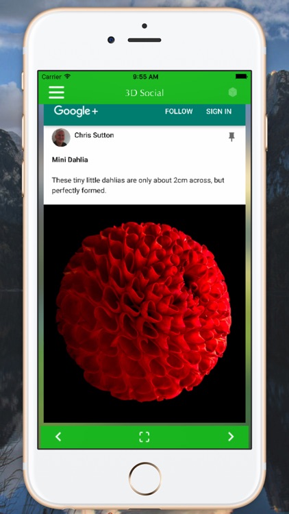 3D Social