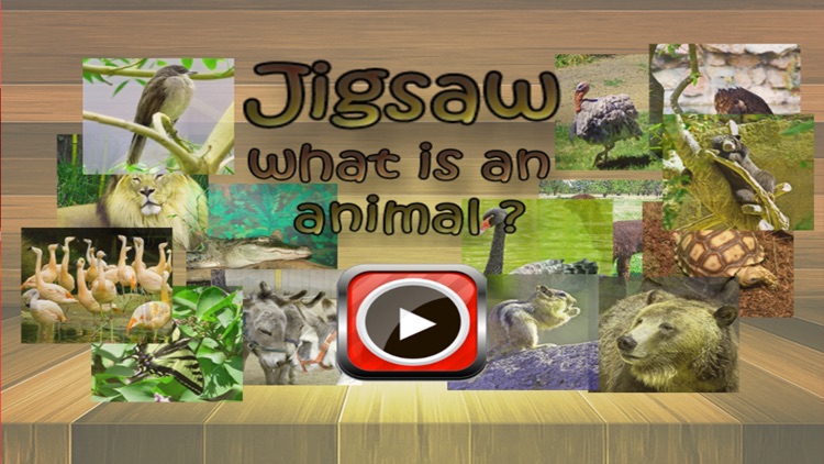 jigsaw puzzle kids what is an animal