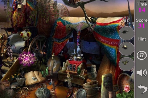 Hidden Objects Of A Fortune Telle screenshot 4