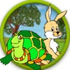 Rabbit vs Turtle 2016